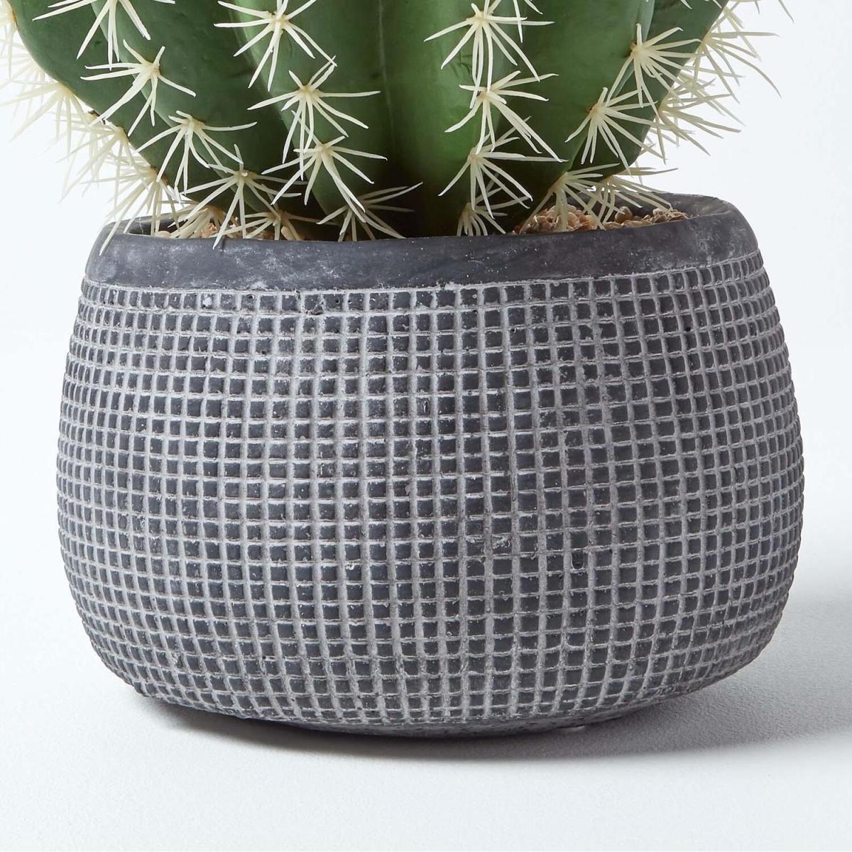 Homescapes Golden Barrel Artificial Cactus in Textured Stone Grey Pot - Green – image 4