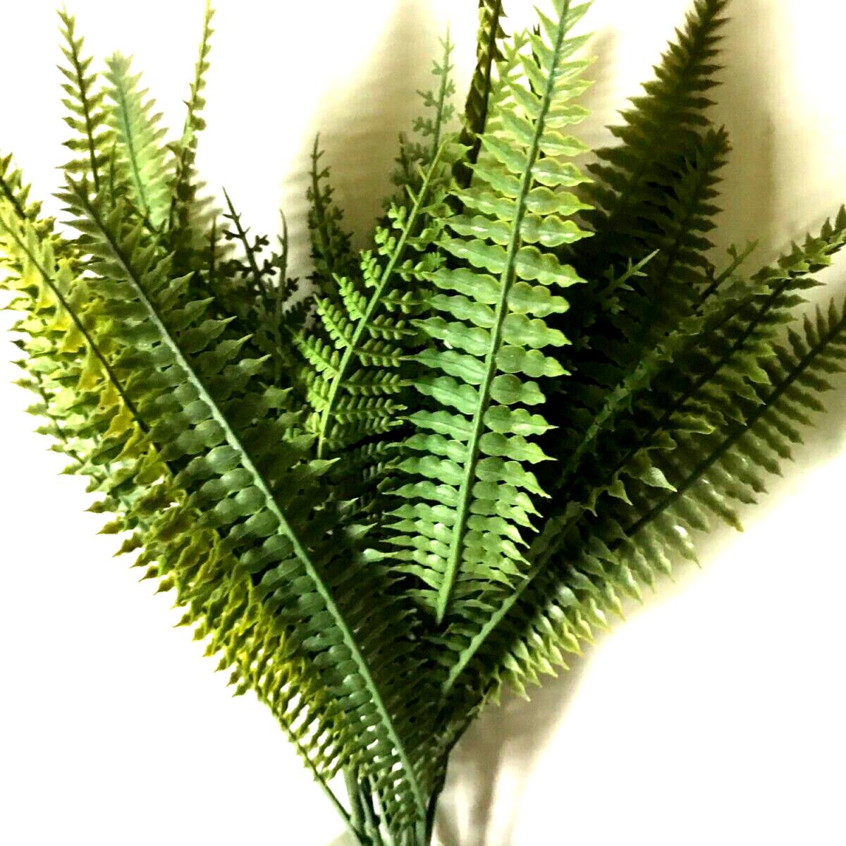 Pack of 2 Green Fern Plants Bushes Foliage Woodland - Green – image 3
