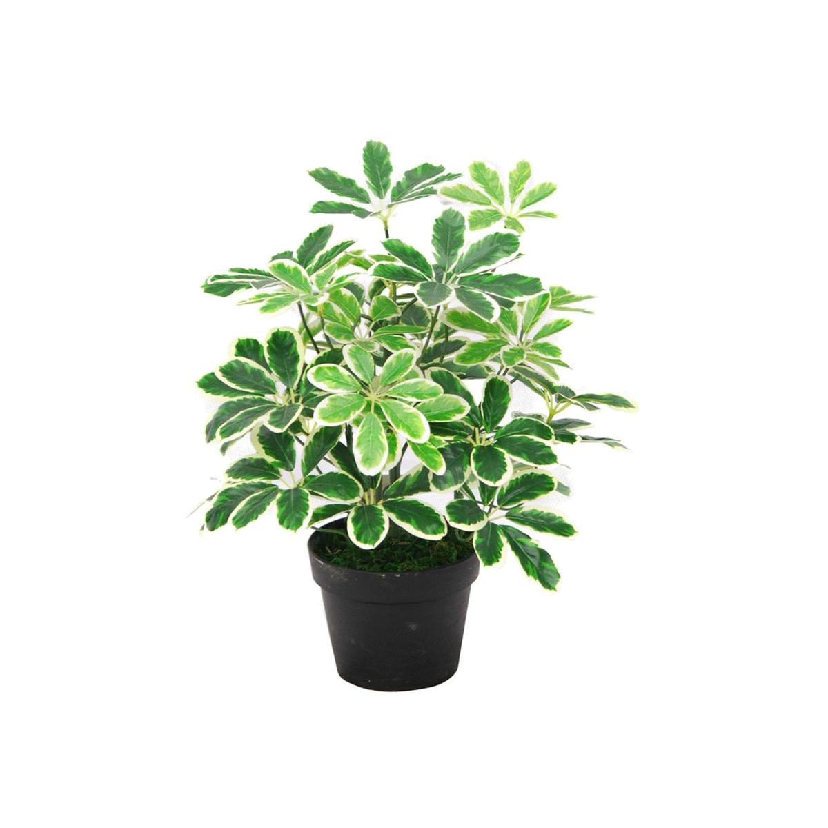 Variegated Artificial Schefflera Arboricola Plant - Green