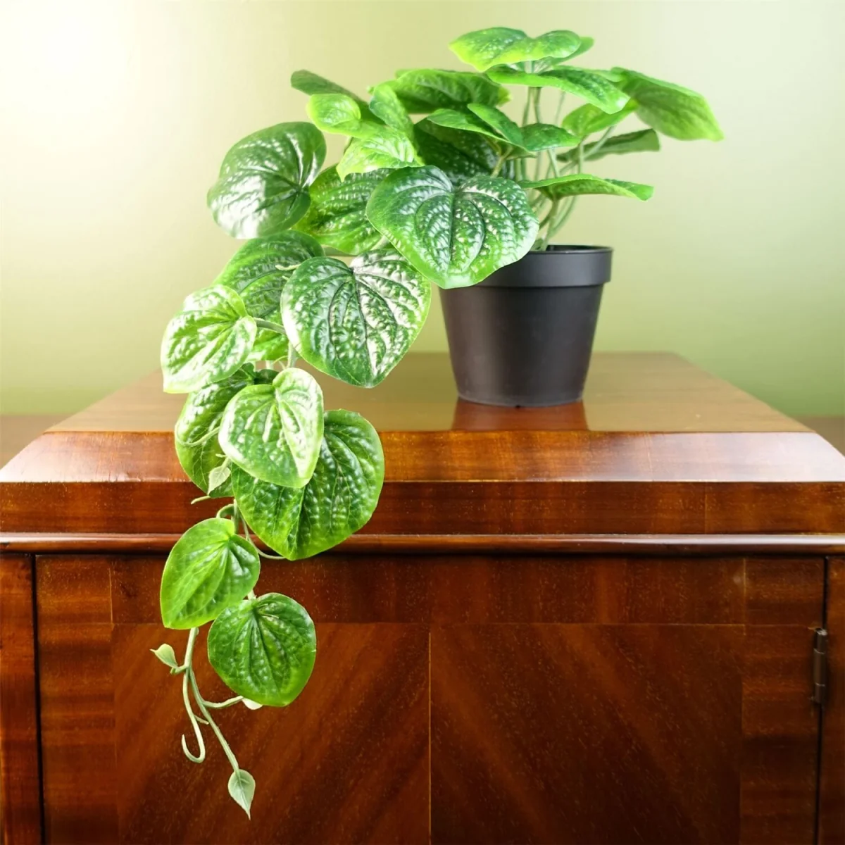 Artificial Office Plants - Potted Trailing Evergreen - Green Potted Pothos – image 1