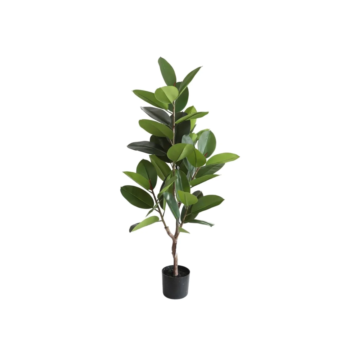 Artificial Rubber Plant Green Artificial Flowers - Green
