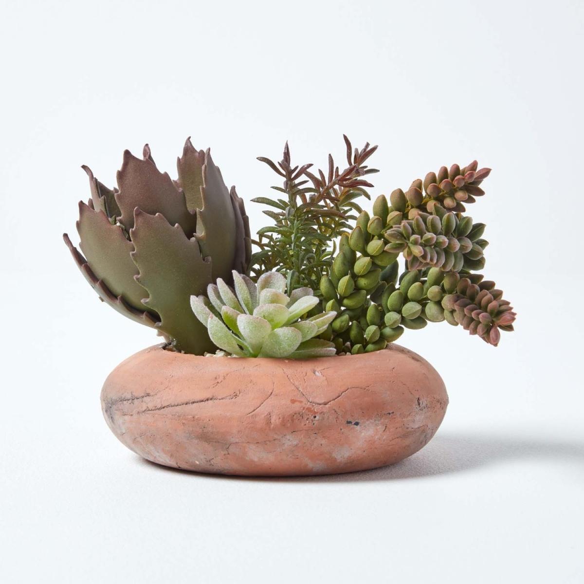 Homescapes Artificial Succulent Arrangement in Round Terracotta Pot, 15cm Tall - Green – image 3