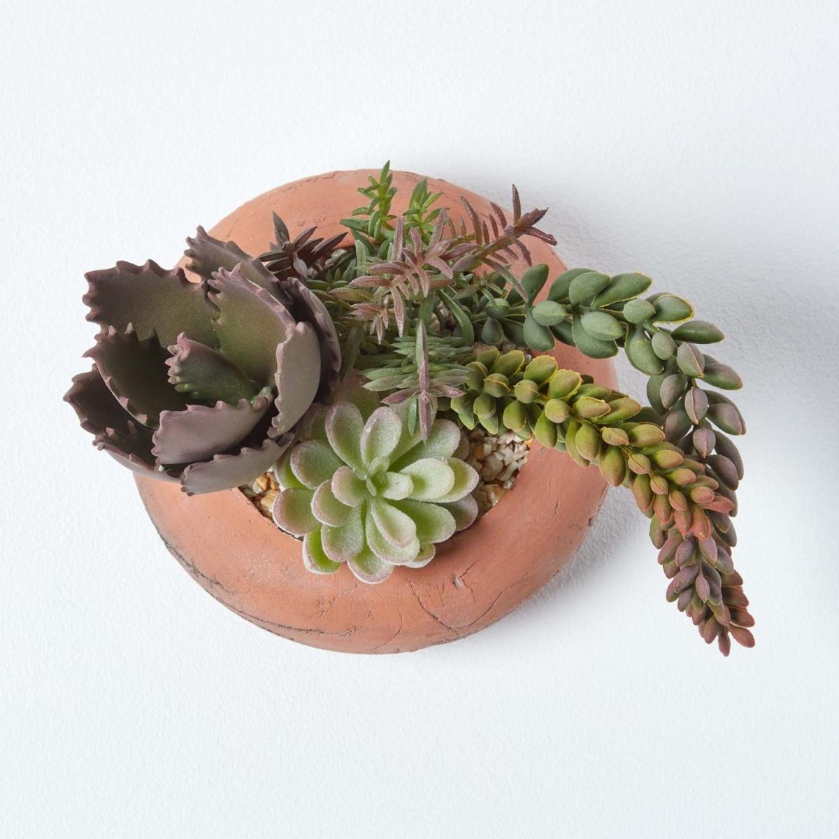 Homescapes Artificial Succulent Arrangement in Round Terracotta Pot, 15cm Tall - Green – image 4