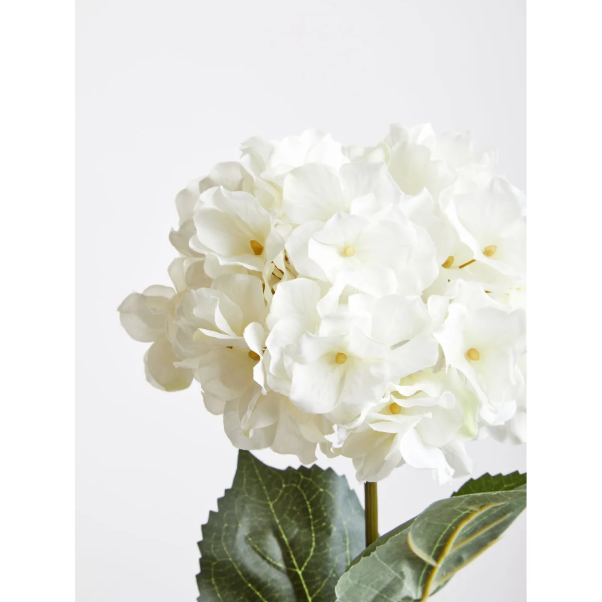 Fiori Cream Hydrangea Flower Stem - White, Cream – image 6