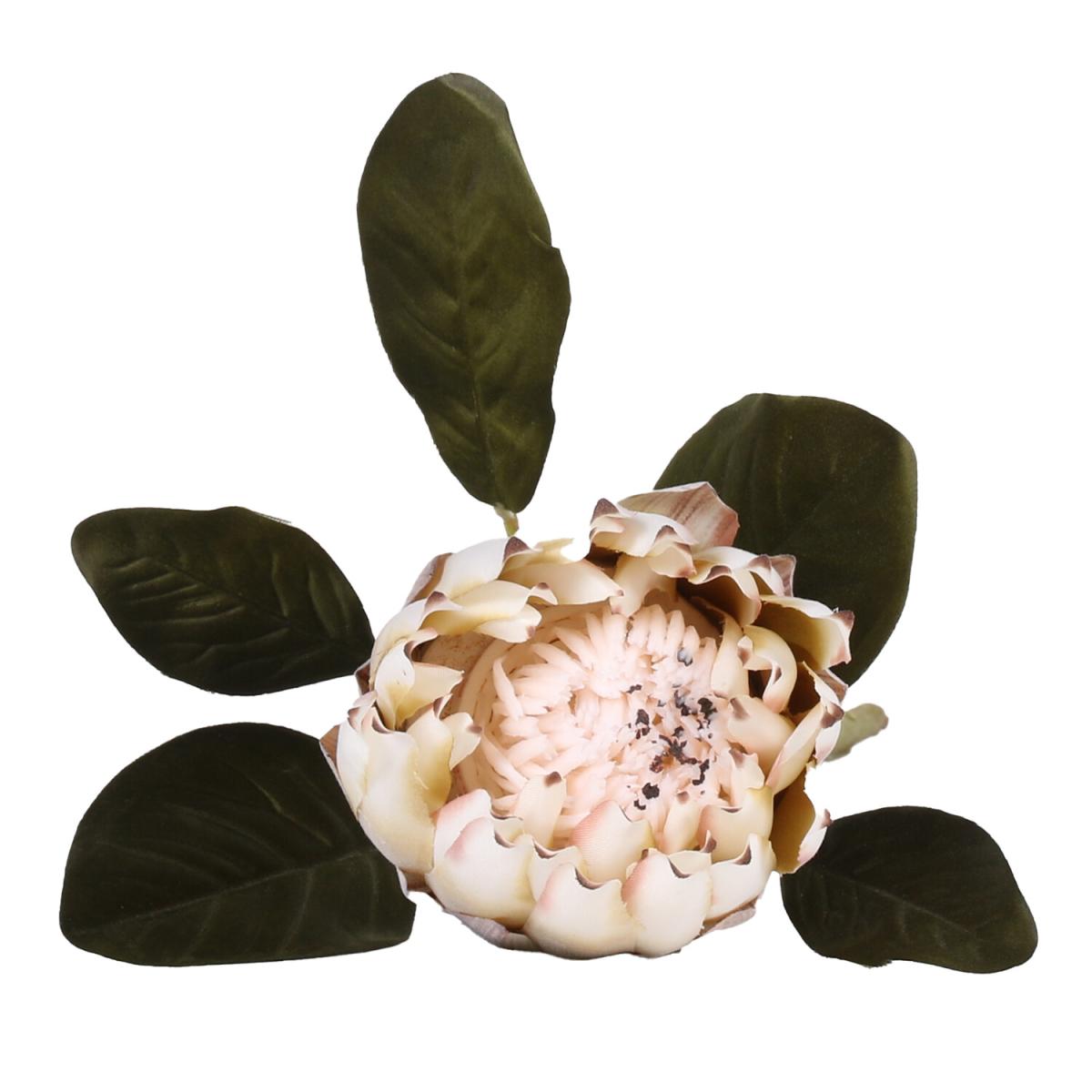 Natural Protea Stem – image 2