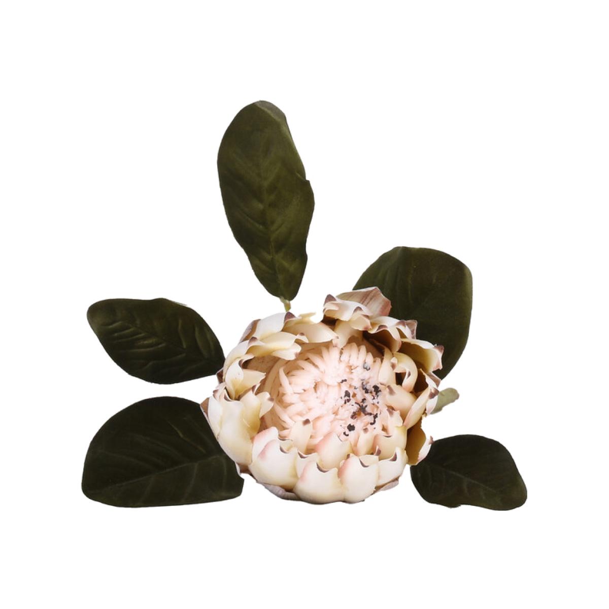 Natural Protea Stem – image 1