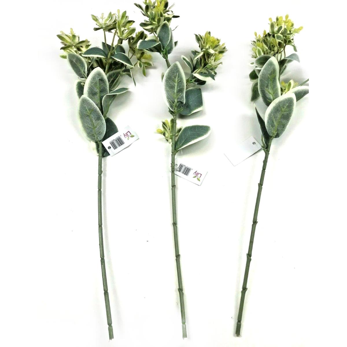 Pack of 3 Euphorbia Foliage and Green Berry Sprays with Variegated Leaves - Green – image 2