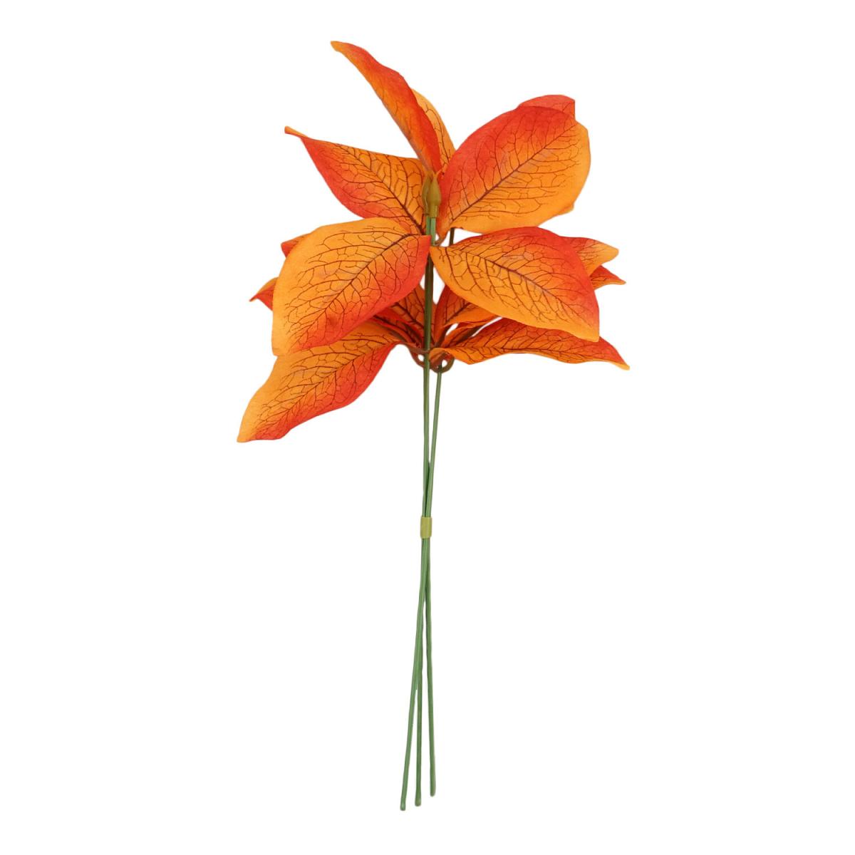Small Eucalyptus Bundle - Orange – image 2