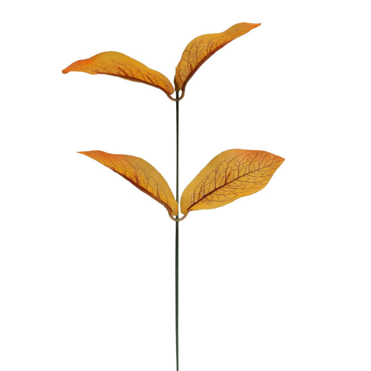 Small Eucalyptus Bundle - Orange – image 3