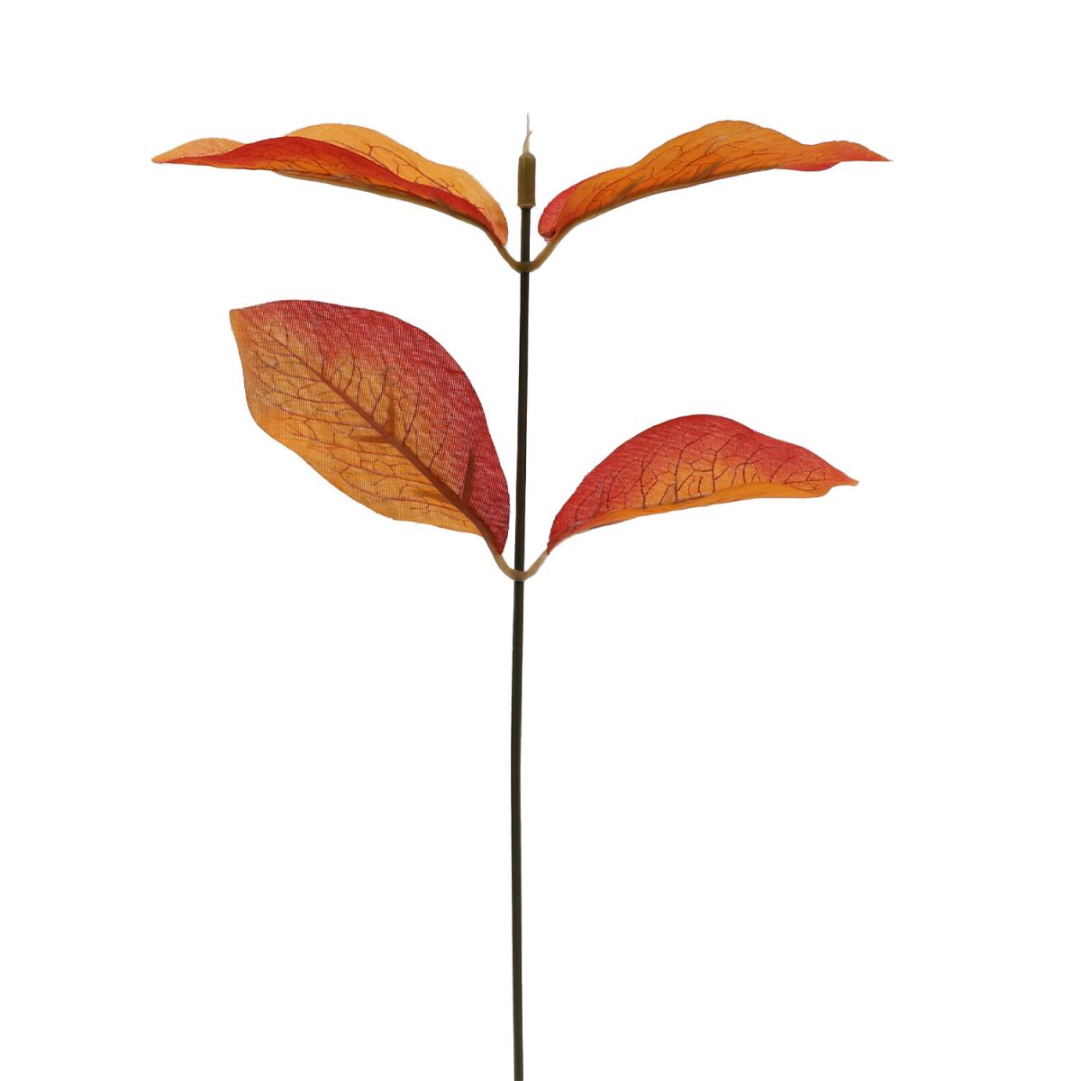 Small Eucalyptus Bundle - Orange – image 4