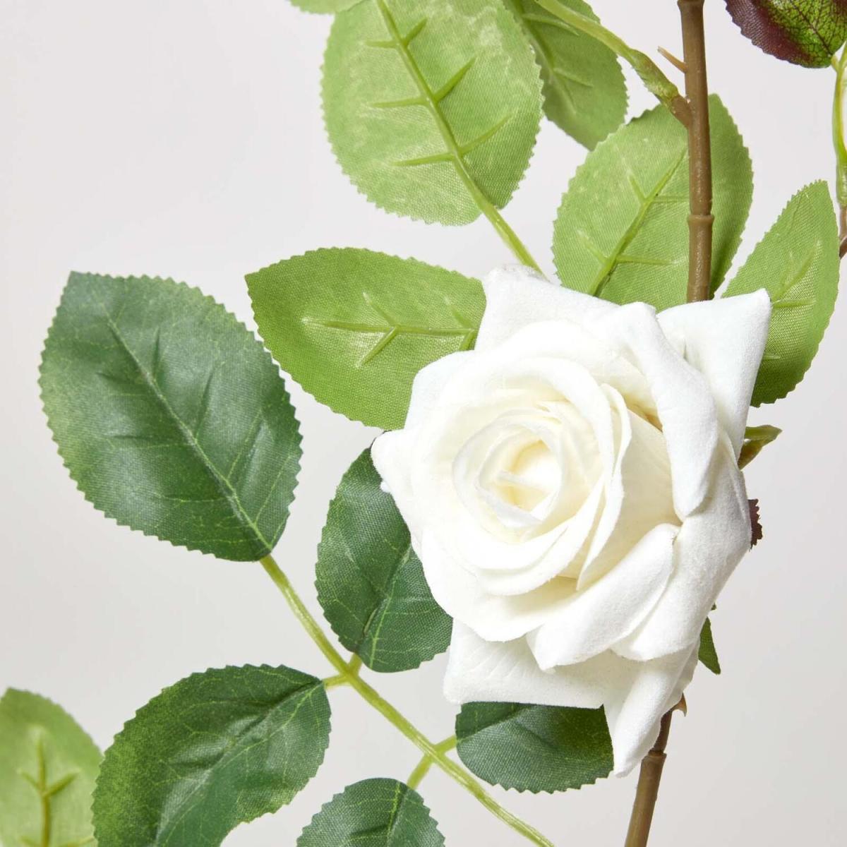 Homescapes Cream Artificial Rose Flower Garland, 180 cm - Cream – image 2