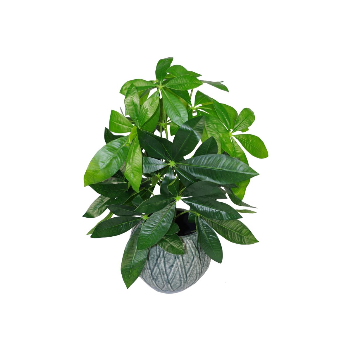 Artificial Money Tree Plant - Green