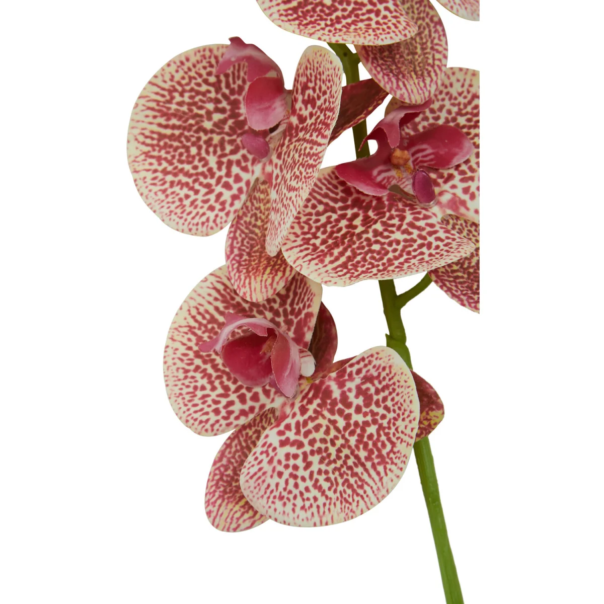 Fiori Tall Pink Orchid Spray Flower Stem - Pink – image 5