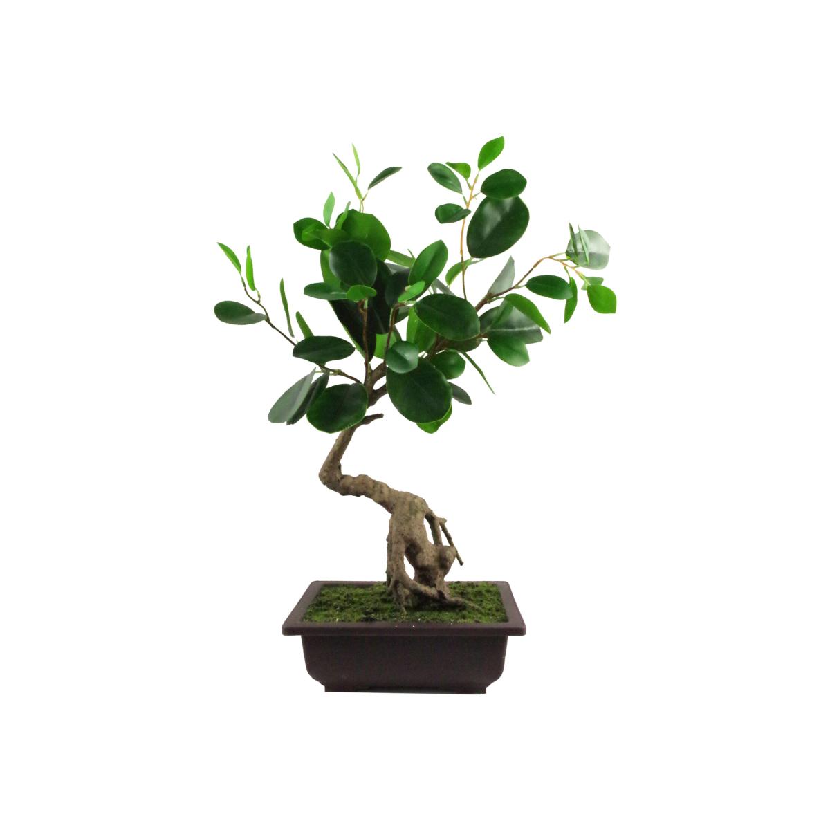 Artificial Ficus Rounded Leaf Bonsai Tree - Green