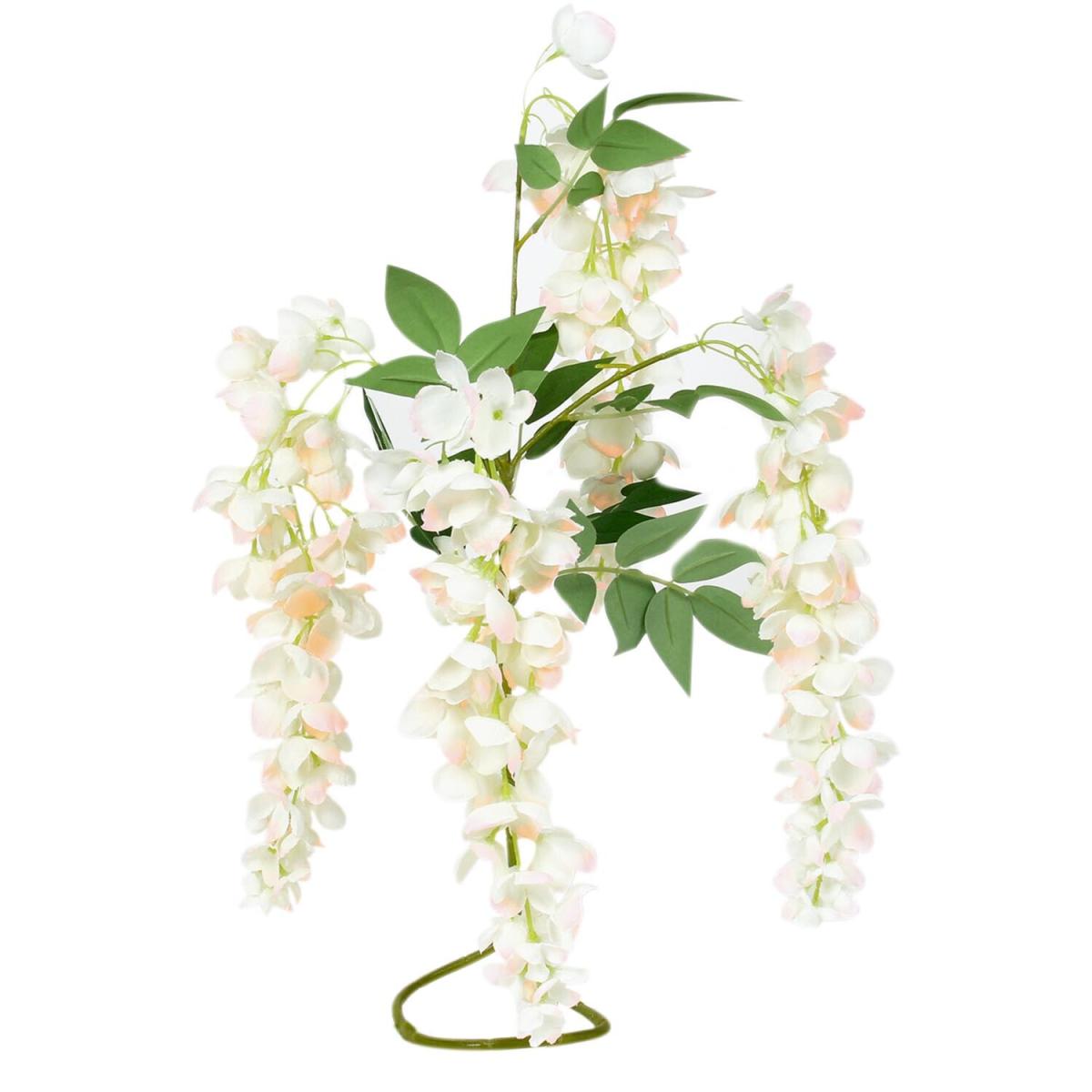 Cherry Blossom Wisteria – image 2