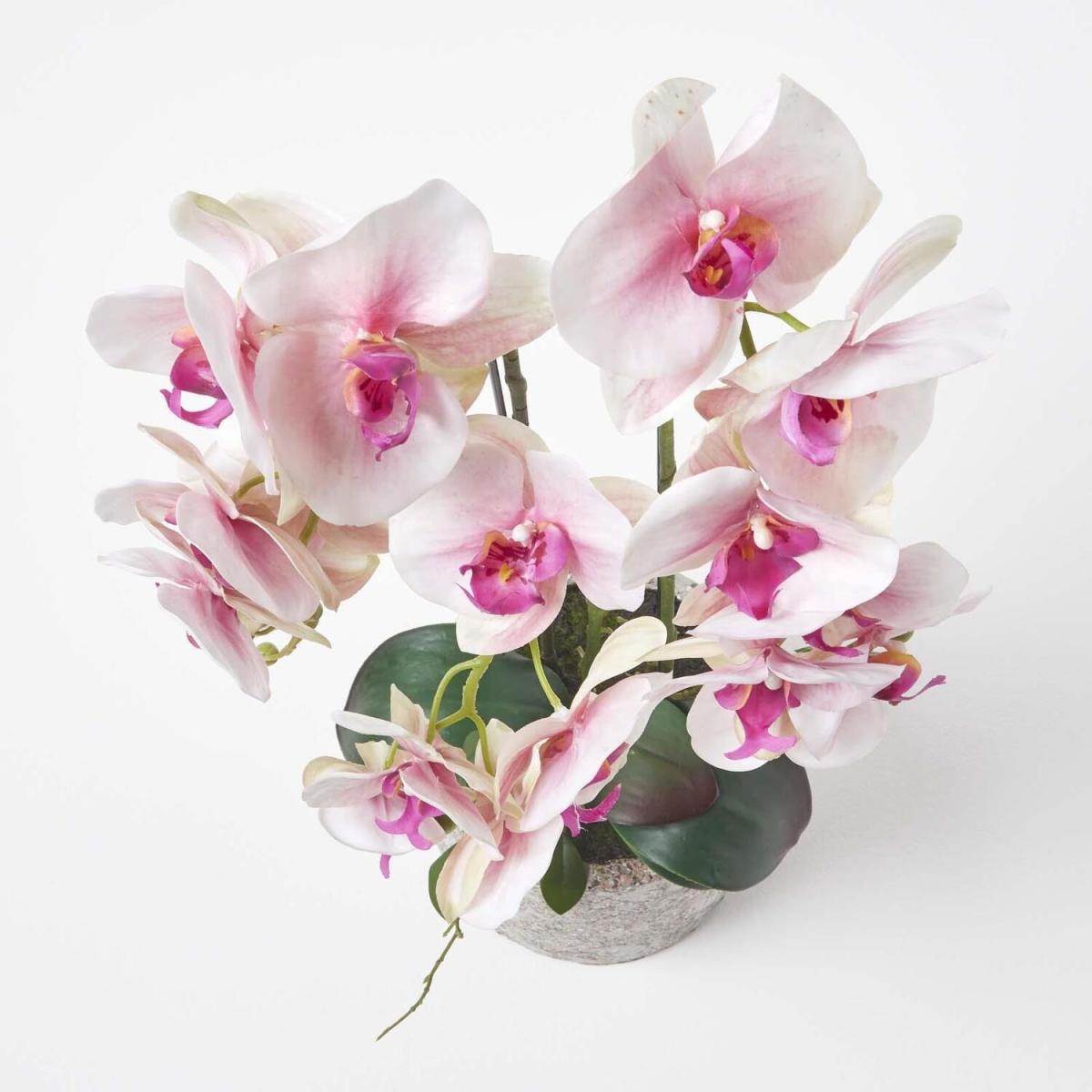 Homescapes Large 64cm Lifelike Pink Artificial Orchid in Grey Cement Pot - Pink – image 3