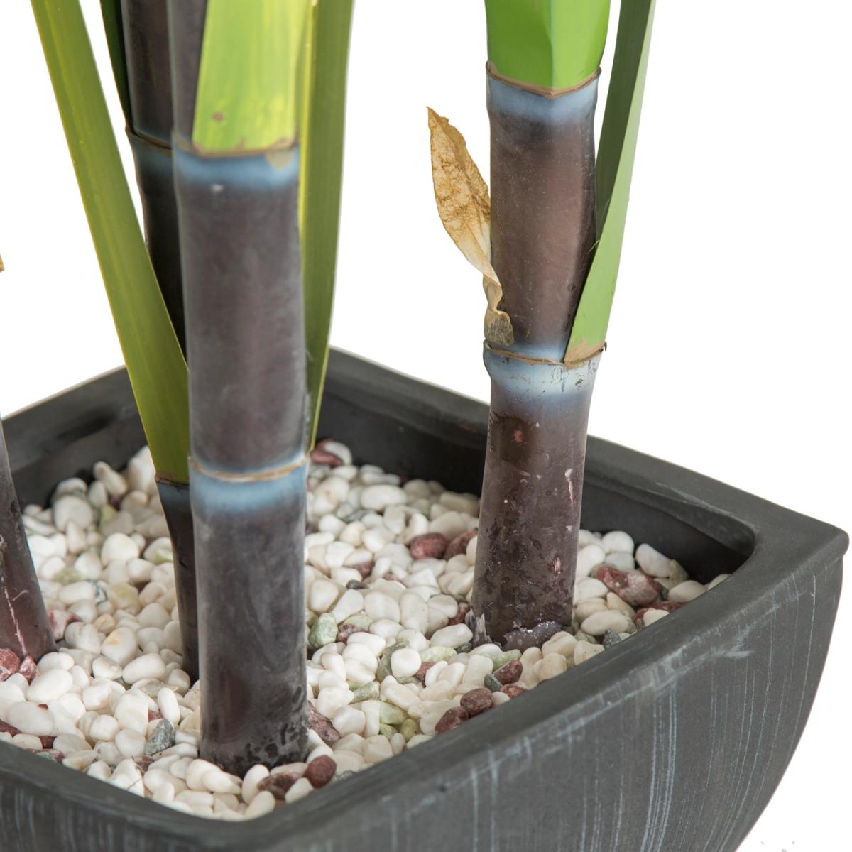 Sugarcane in Terracotta Pot – image 2