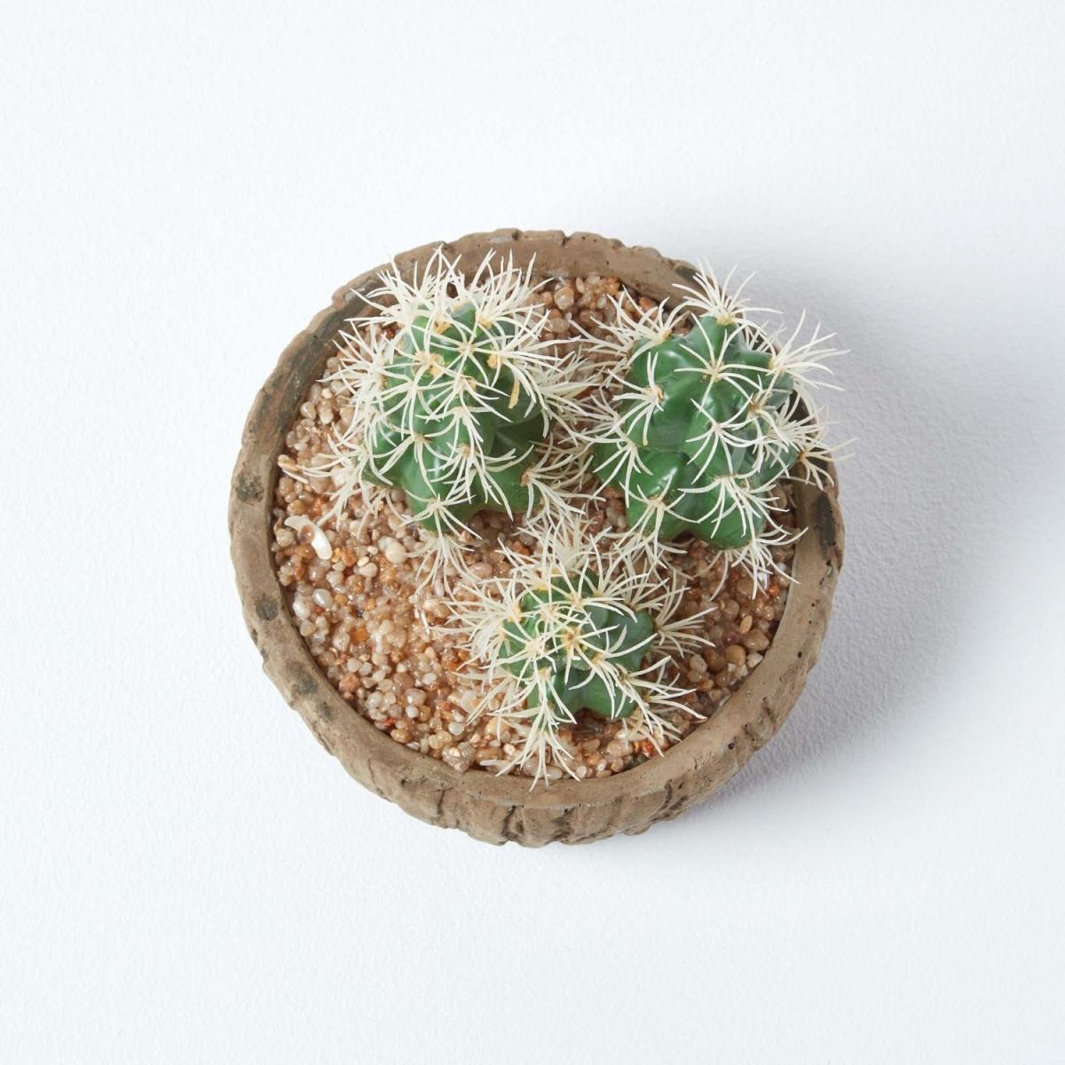 Homescapes Echinocactus Artificial Cactus in Round Wooden Planter, 15 cm Tall - Green – image 3