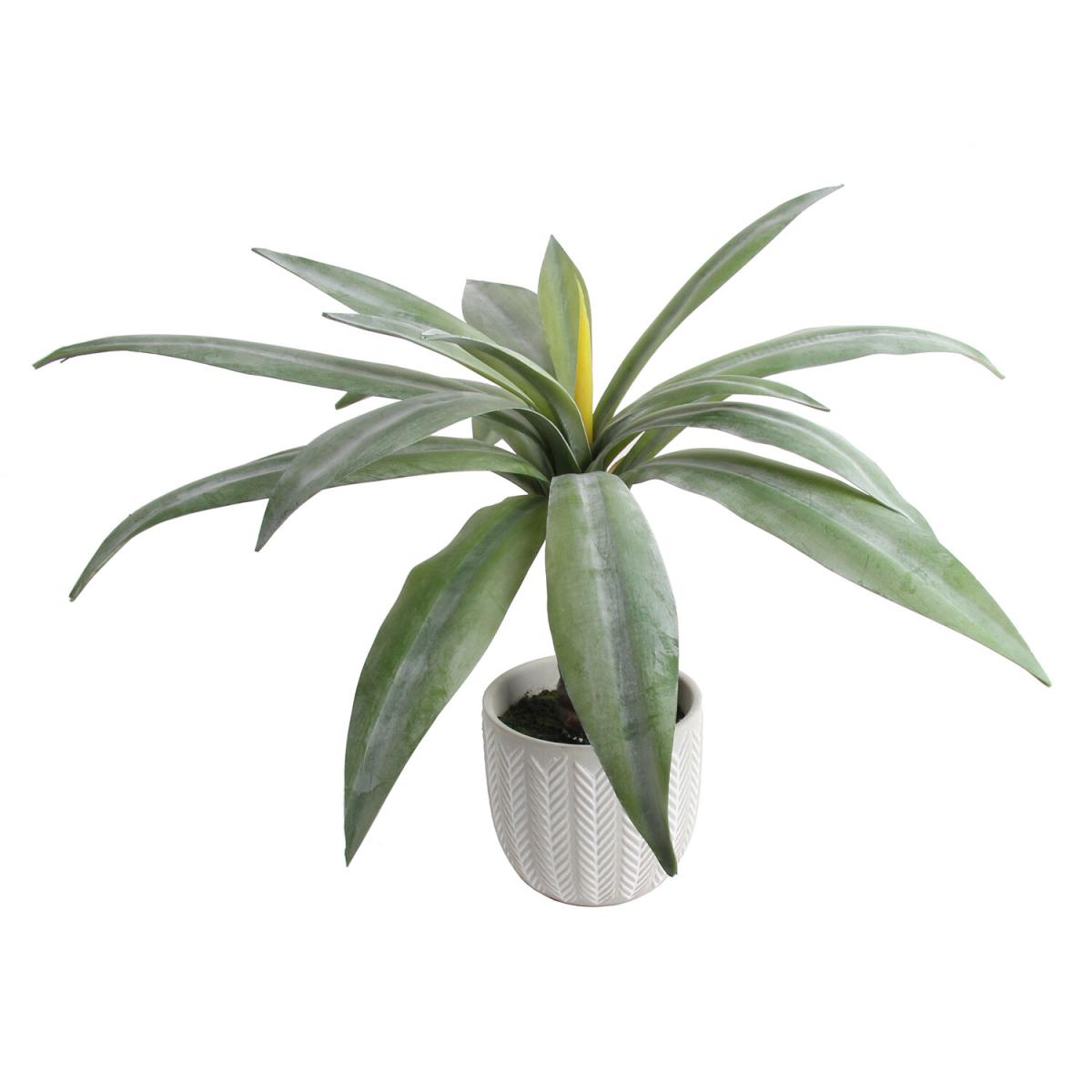 Aloe in Grey Cement Pot – image 2