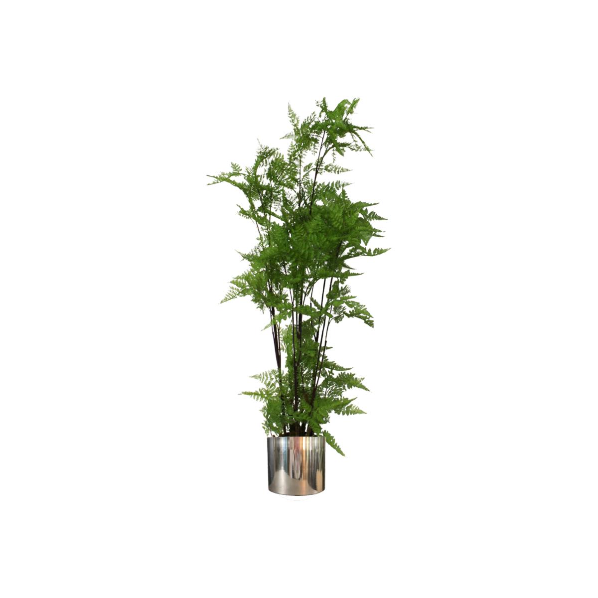 Artificial Natural Extra Large Fern Foliage Plant Silver Metal Plater - Green