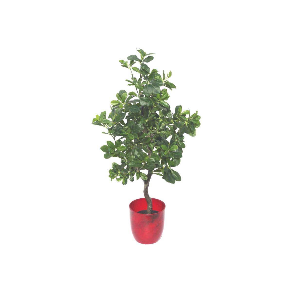 Geranium Aralia (Polyscias Guilfoylei) Artificial Plant Tree - Green