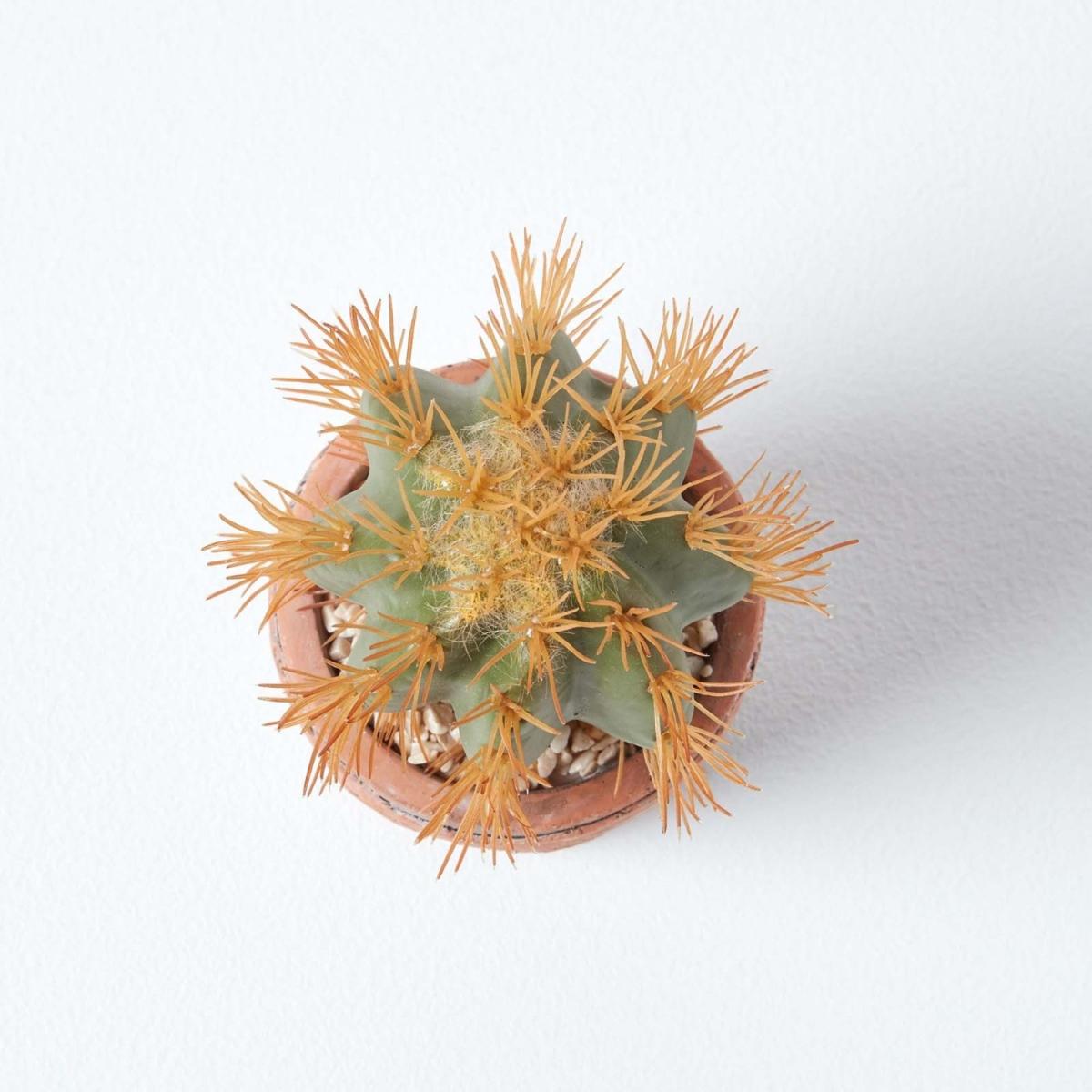 Homescapes Small Round Artificial Cactus in Terracotta Pot, 15cm Tall - Orange – image 3