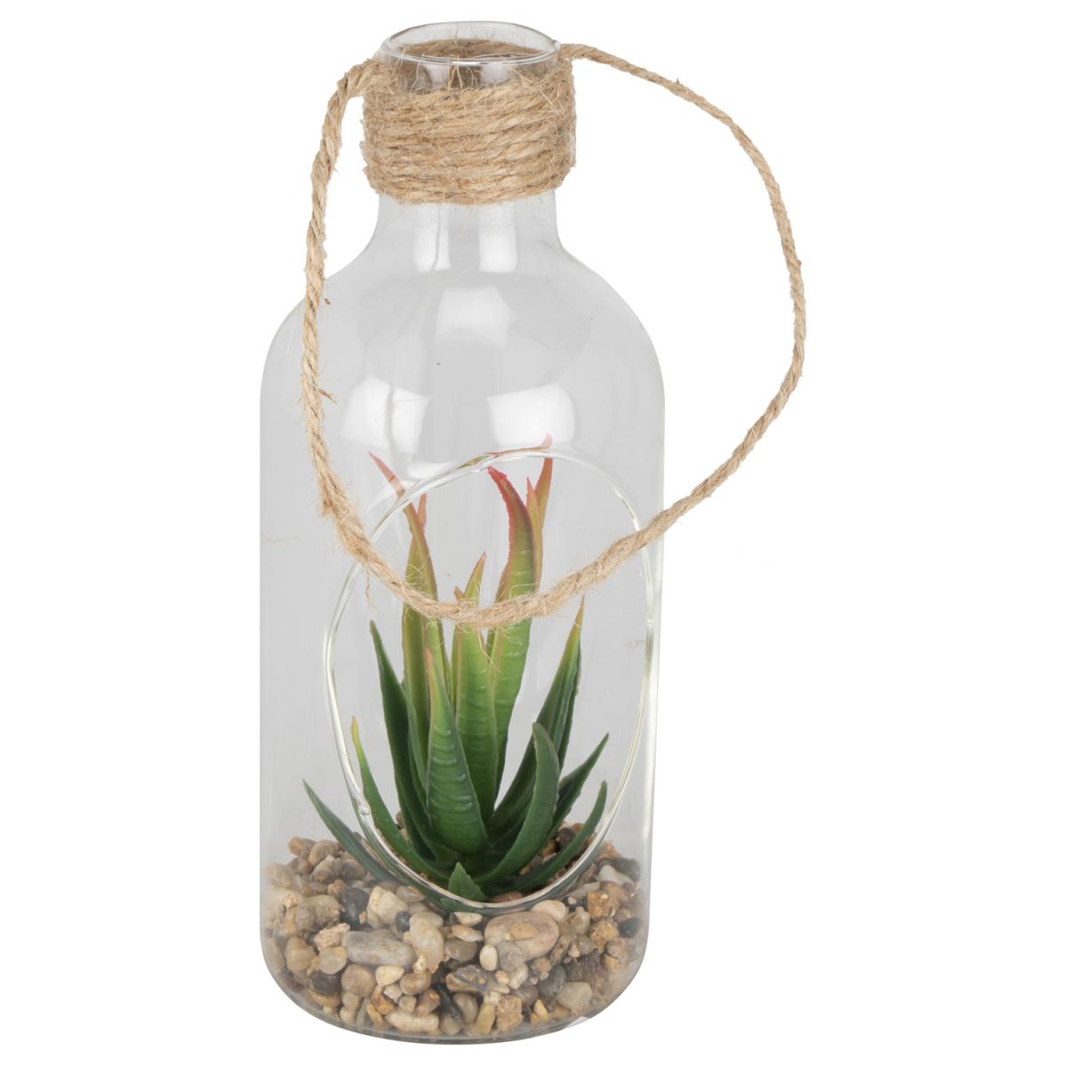 Succulent in Hanging Bottle – image 2