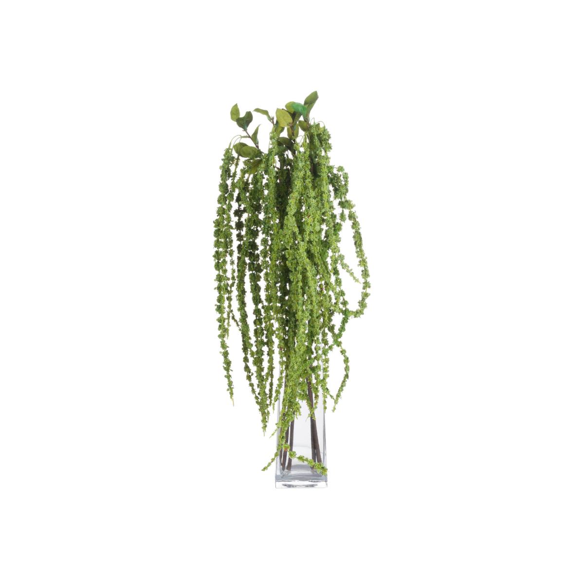 Botanical Filler Amaranthus - Green
