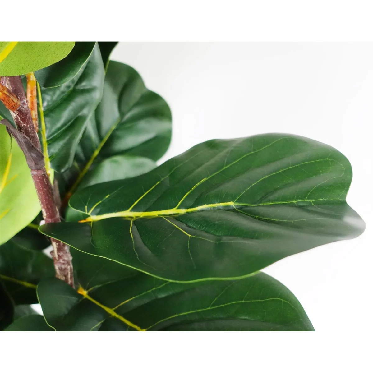 Leaf Design UK Artificial Plant Fiddle Fig Tree Plant Black Plastic Pot - 120cm Premium Fig Tree / 120cm / 45cm – image 2