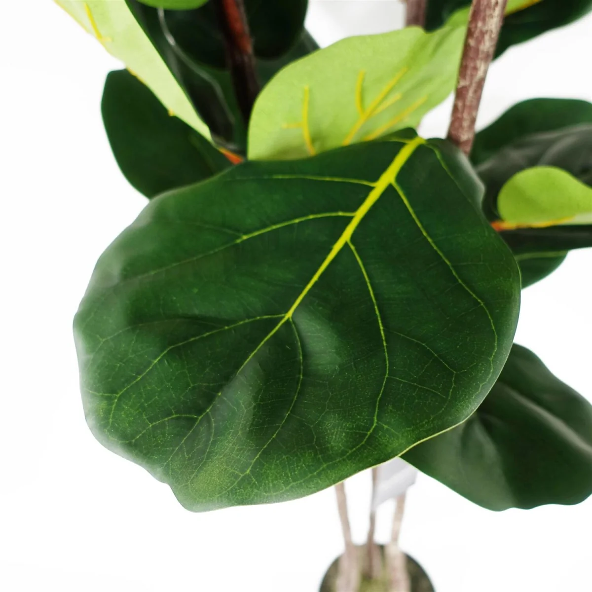 Leaf Design UK Artificial Plant Fiddle Fig Tree Plant Black Plastic Pot - 120cm Premium Fig Tree / 120cm / 45cm – image 3