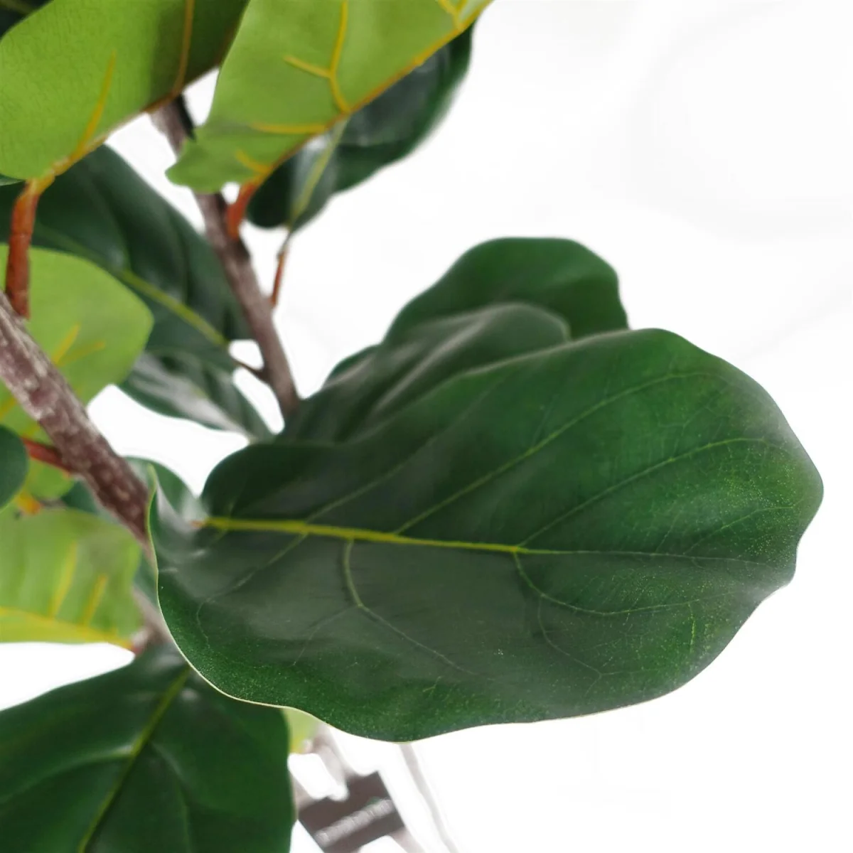 Leaf Design UK Artificial Plant Fiddle Fig Tree Plant Black Plastic Pot - 120cm Premium Fig Tree / 120cm / 45cm – image 4
