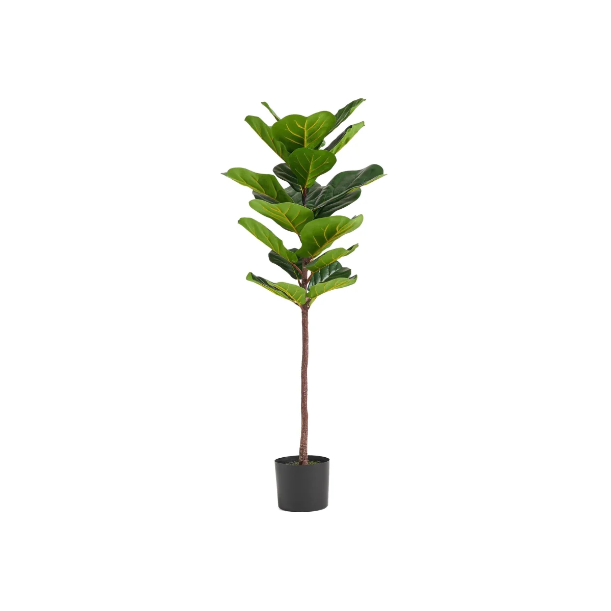 Leaf Design UK Artificial Plant Fiddle Fig Tree Plant Black Plastic Pot - 120cm Premium Fig Tree / 120cm / 45cm – image 1