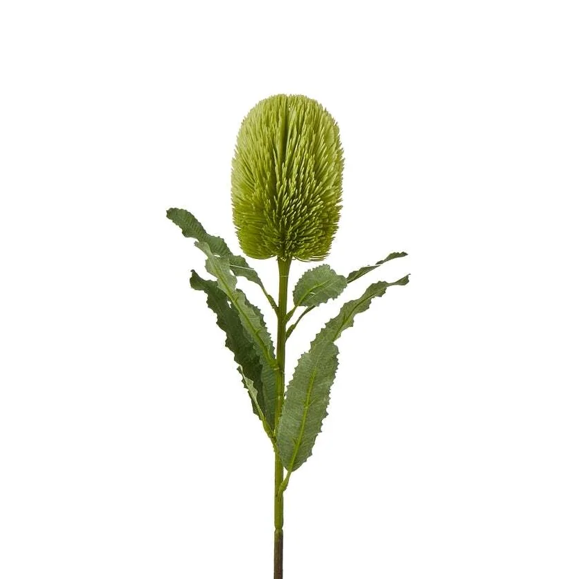 Large Green Banksia Serrata Stem Artificial Flower Stem - Green – image 1
