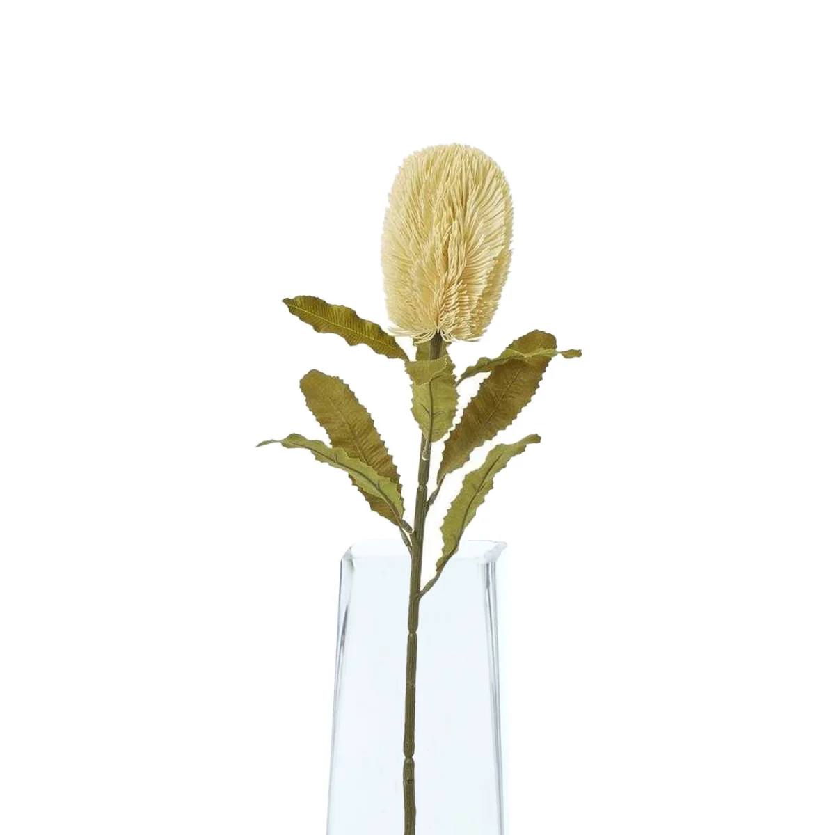 Hill Interiors Banksia Serrata Artificial Flower - Cream – image 3