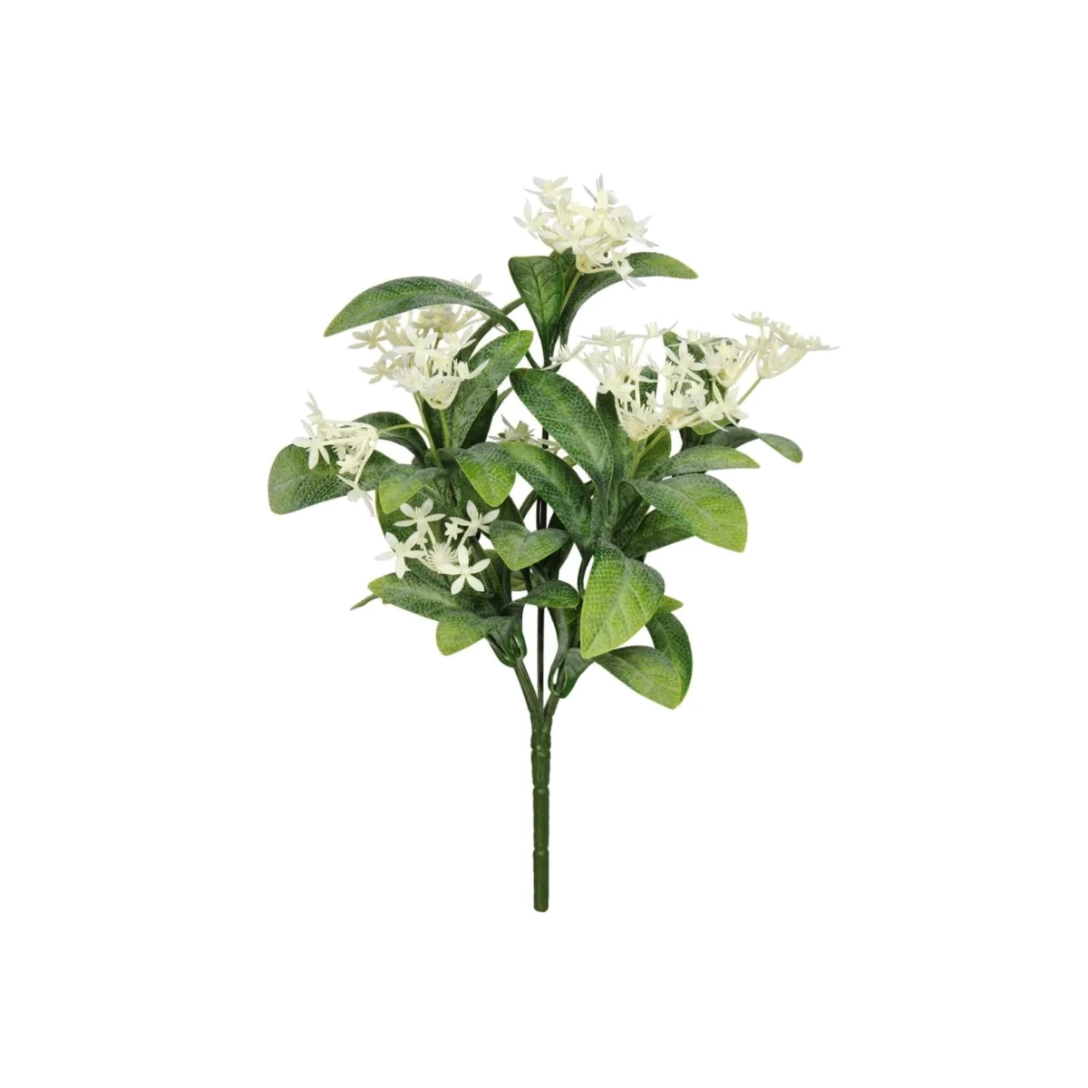 UV Exterior Everlast Star Flower Plant 2 Pack - Green
