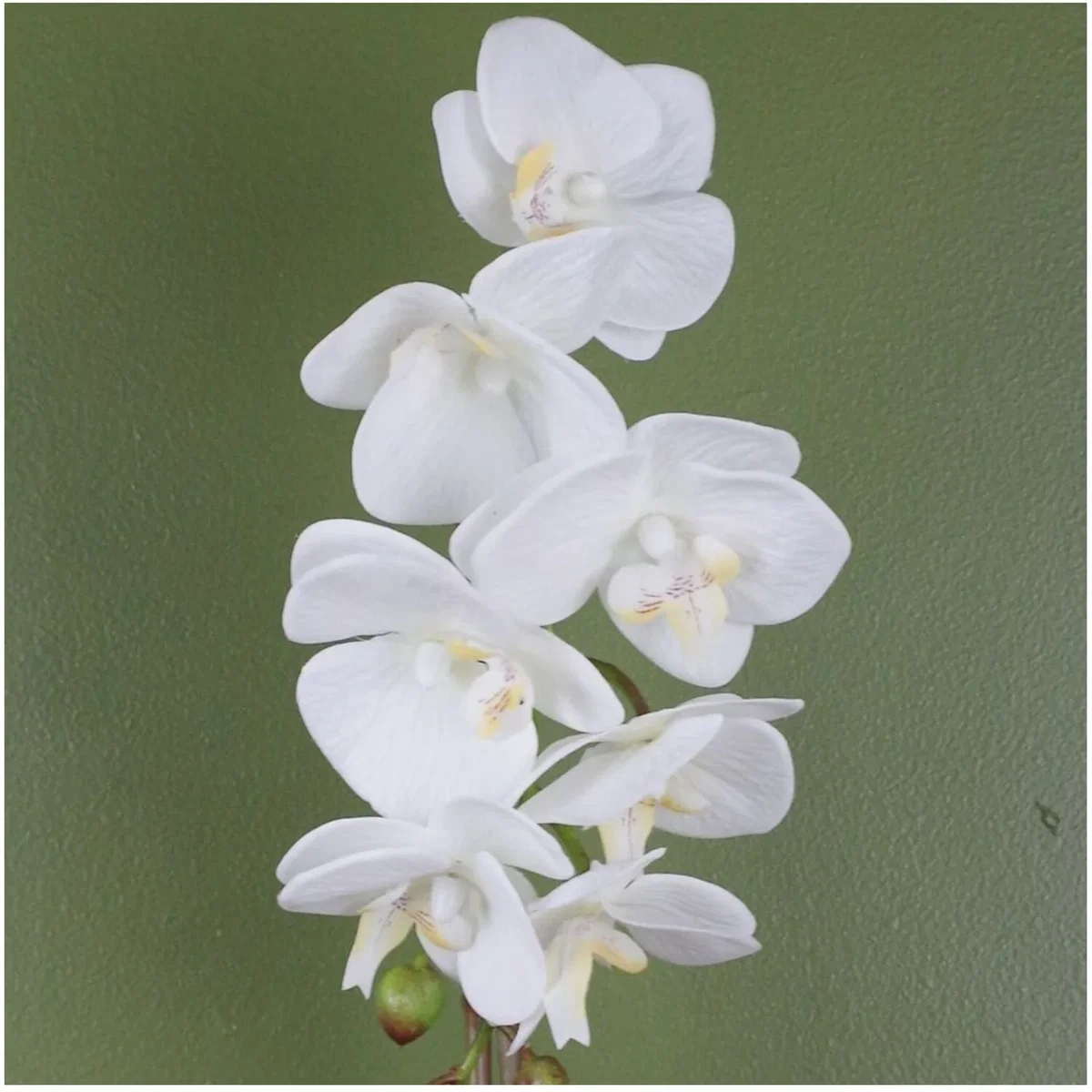 46cm Real Touch Artificial Orchid with 7 Flowers in Decorative Pot - White – image 2