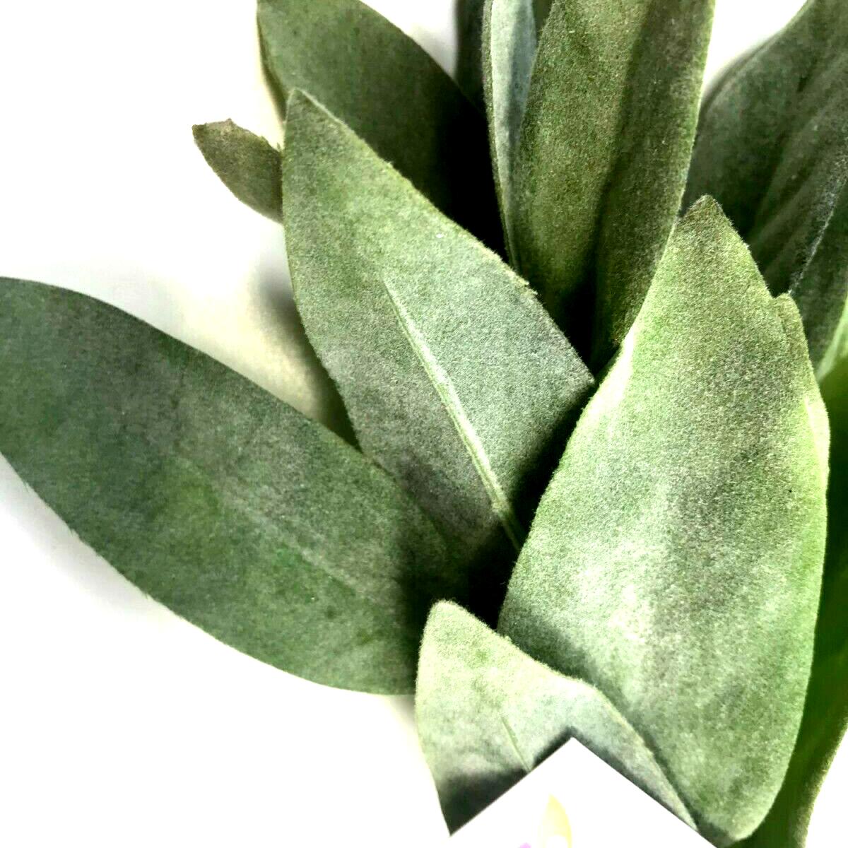 Pack of 3 Sage Flocked Leaf Pale Green Foliage Sprays Plants - Green – image 3