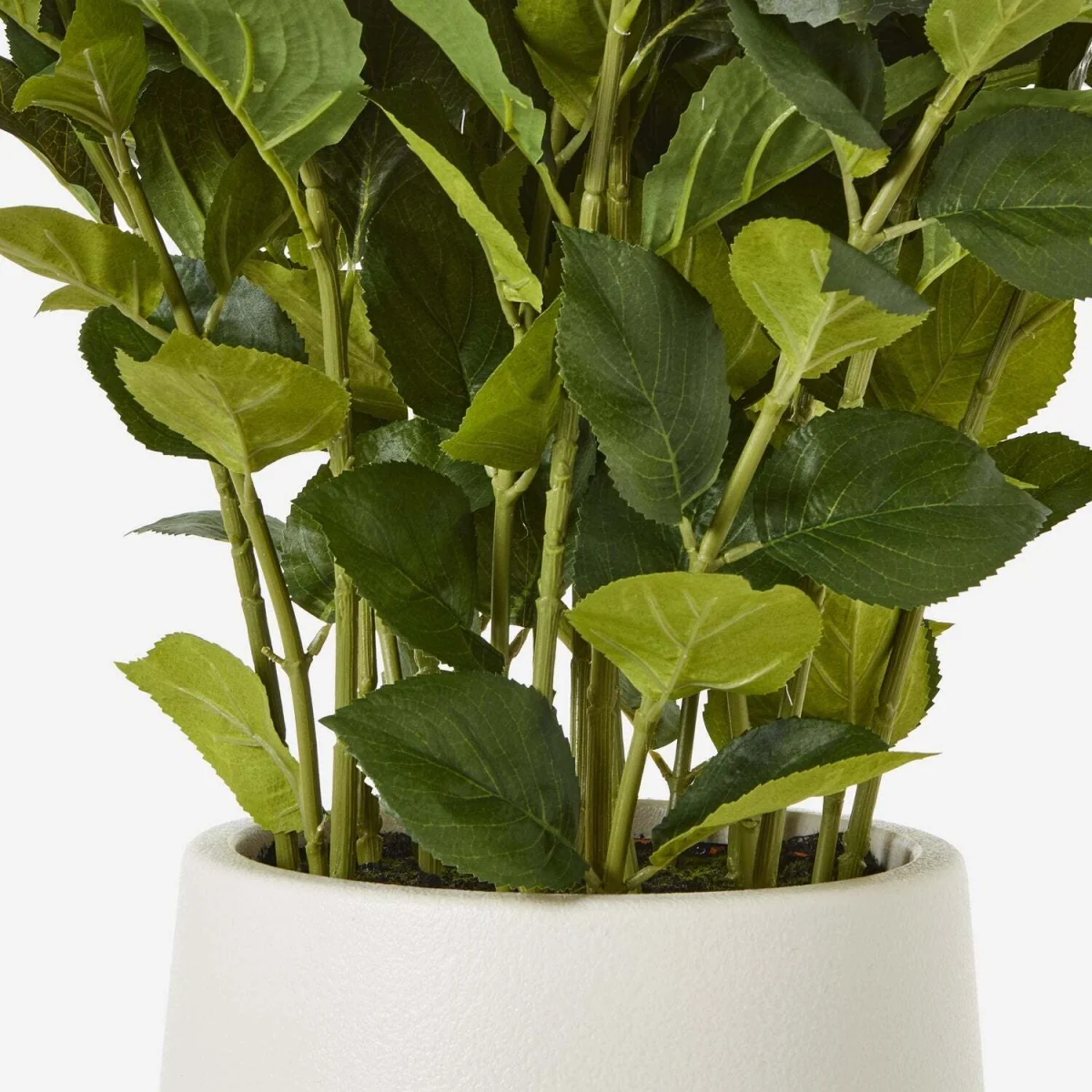 Hydrangea Artificial Plant Matt Pot - White – image 2