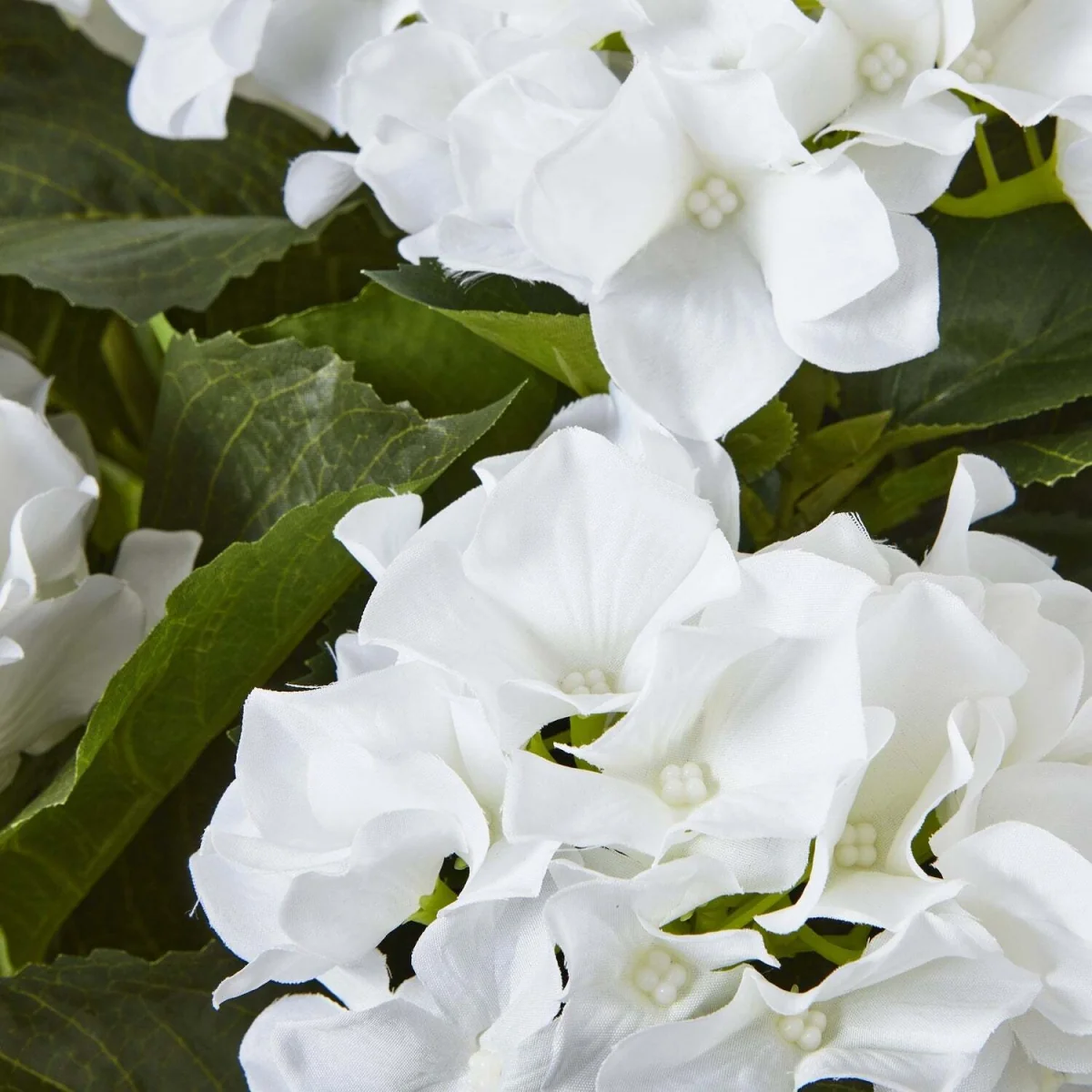 Hydrangea Artificial Plant Matt Pot - White – image 3