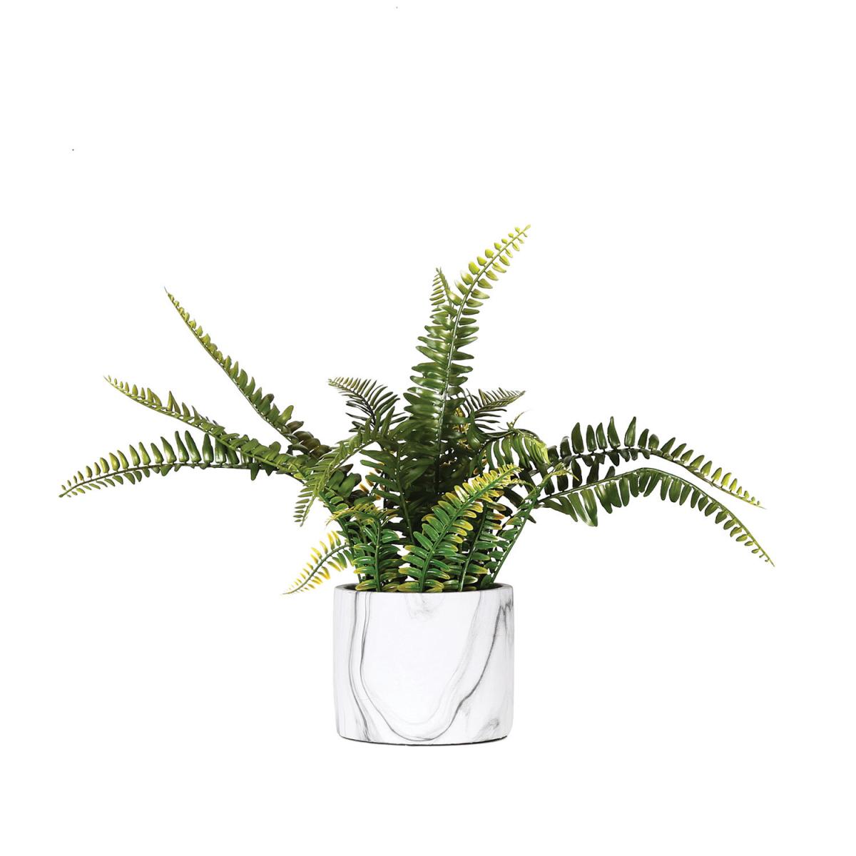 Fern in Marble Pot – image 2