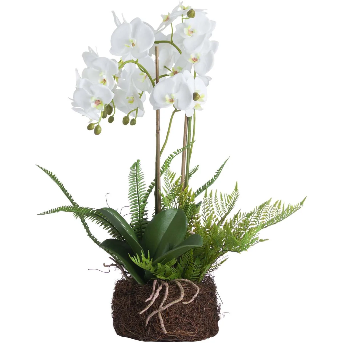 Large Orchid and Fern Artificial Plant in Moss Covered Rootball - White – image 2