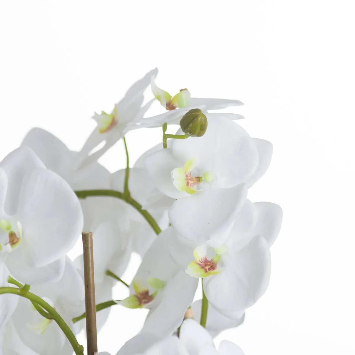 Large Orchid and Fern Artificial Plant in Moss Covered Rootball - White – image 3