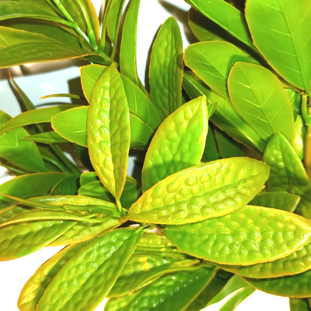 Set of 2 Artificial Faux Bay Leaf Plants 33cm  - Green – image 2