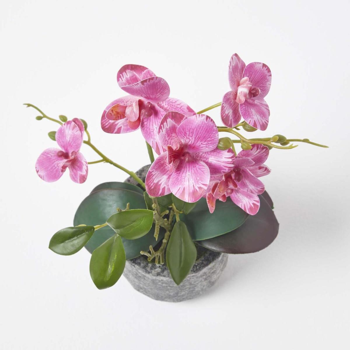 Homescapes Pink 40 cm Lifelike Artificial Orchid in Grey Cement Pot - Pink – image 2