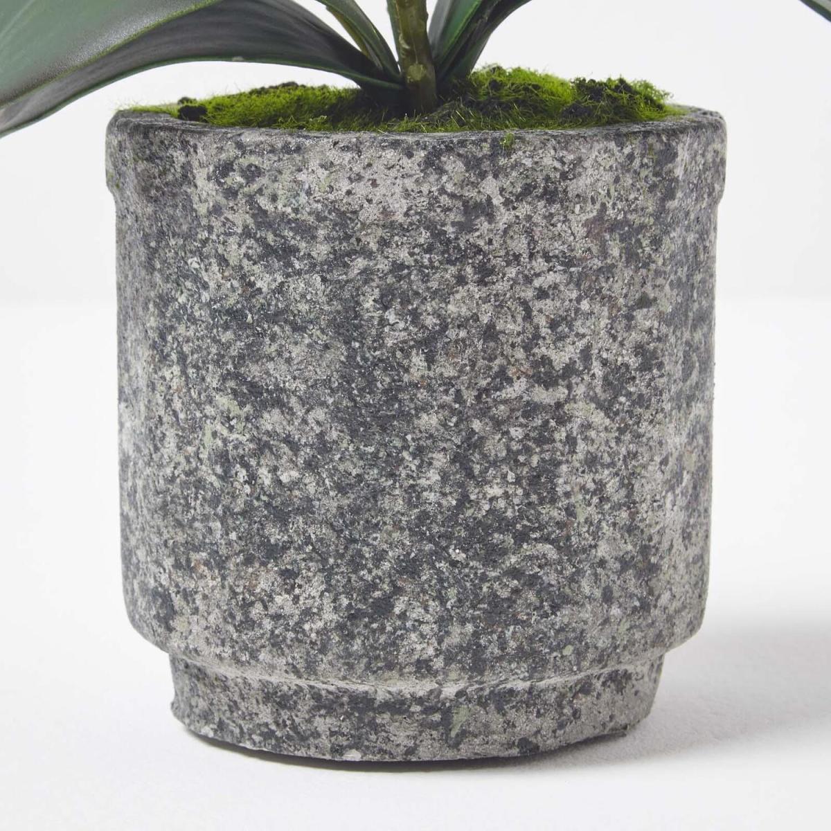Homescapes Pink 40 cm Lifelike Artificial Orchid in Grey Cement Pot - Pink – image 4