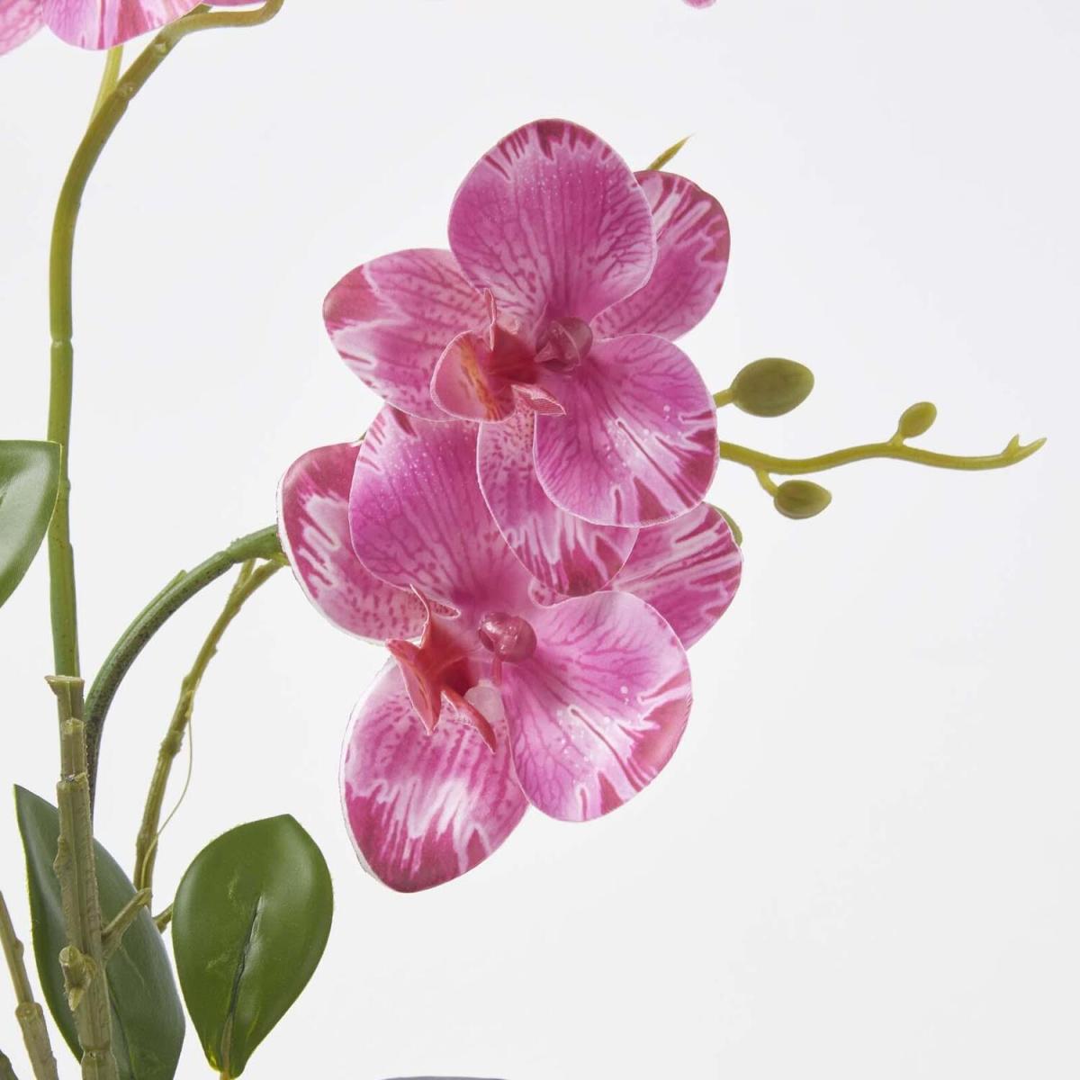 Homescapes Pink 40 cm Lifelike Artificial Orchid in Grey Cement Pot - Pink – image 5