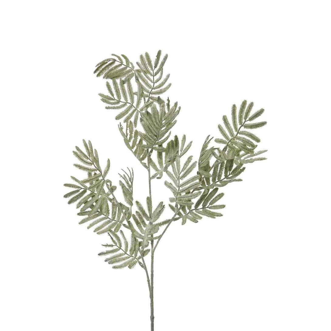 Silver Wattle Leaf Artificial Flower Stem - White – image 1