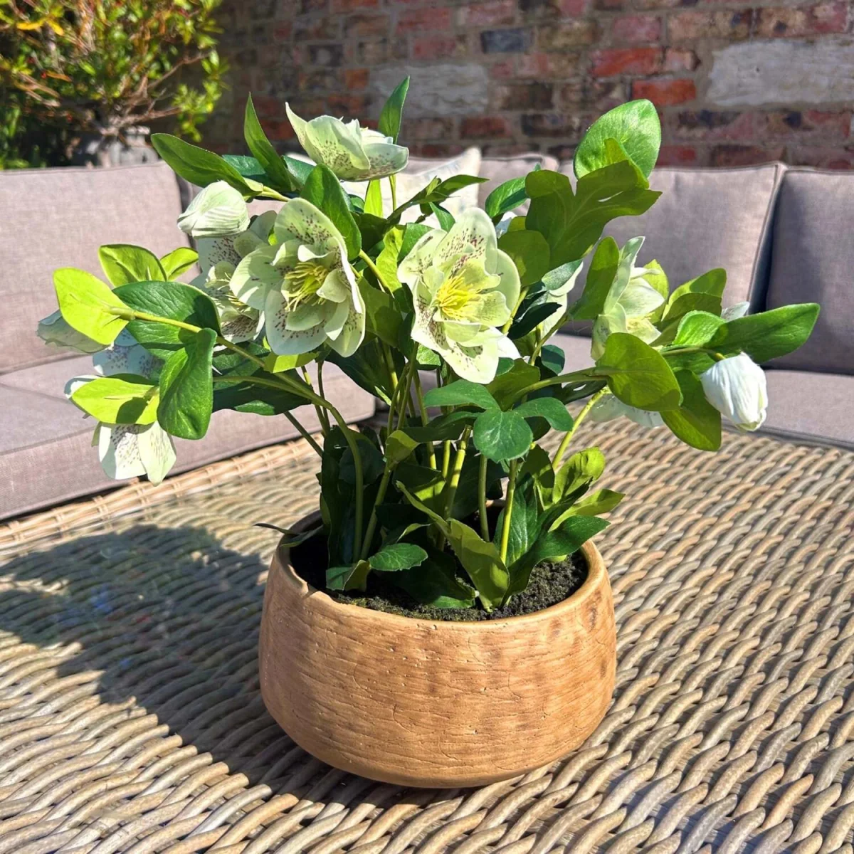 Hellebore Artificial Plant in Rustic Taupe Pot - Green – image 3