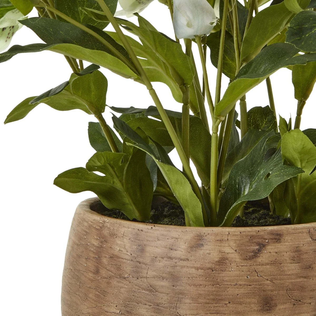 Hellebore Artificial Plant in Rustic Taupe Pot - Green – image 5