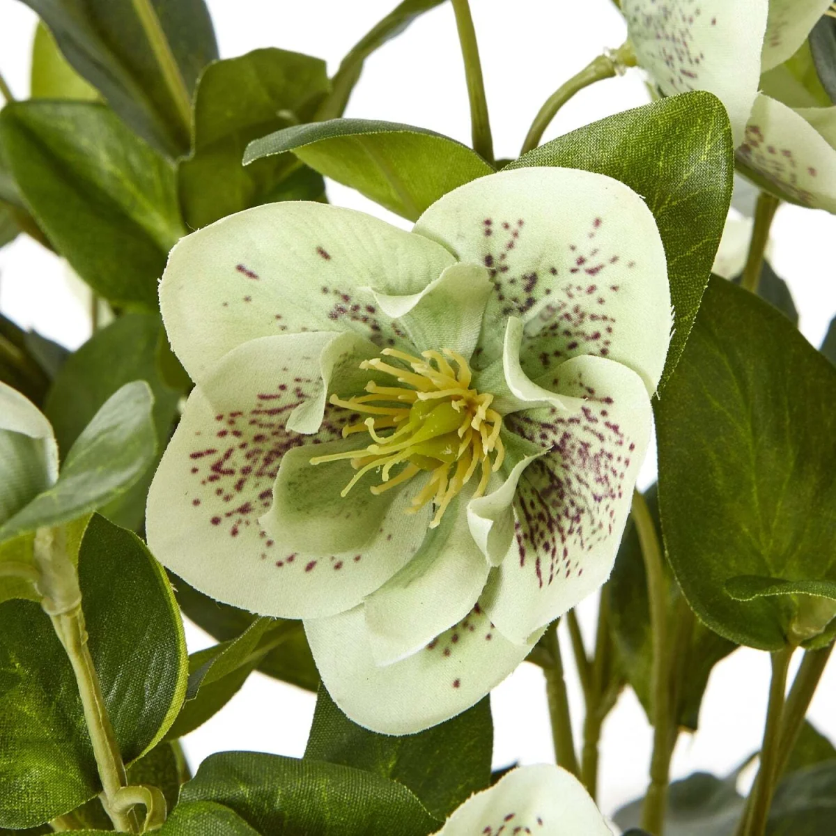 Hellebore Artificial Plant in Rustic Taupe Pot - Green – image 6